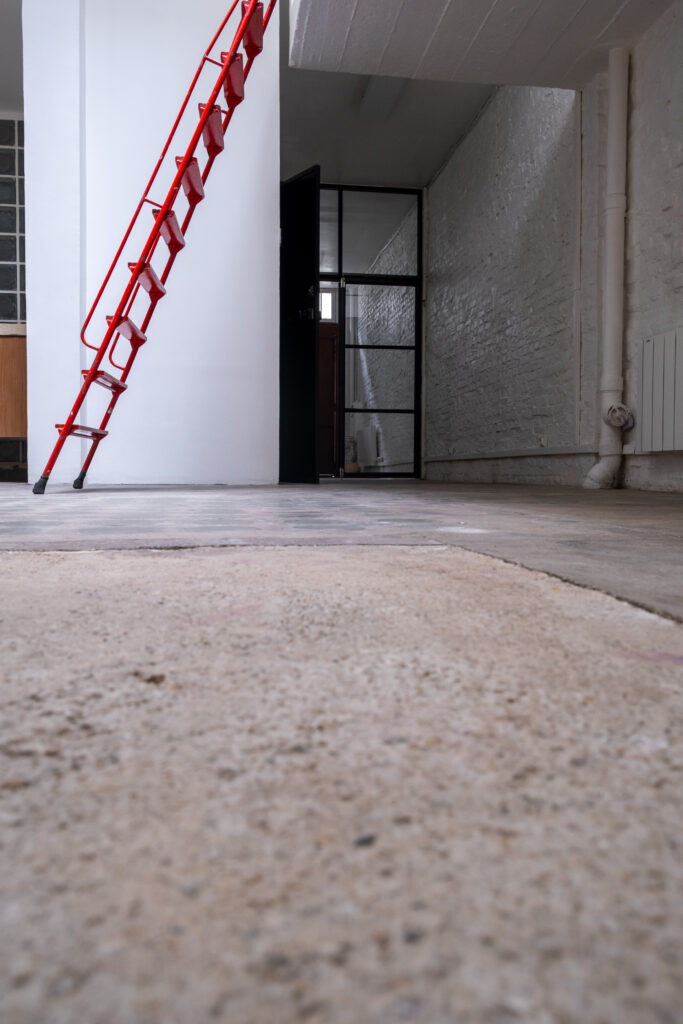 _DSF0376 DSF0376 683x1024